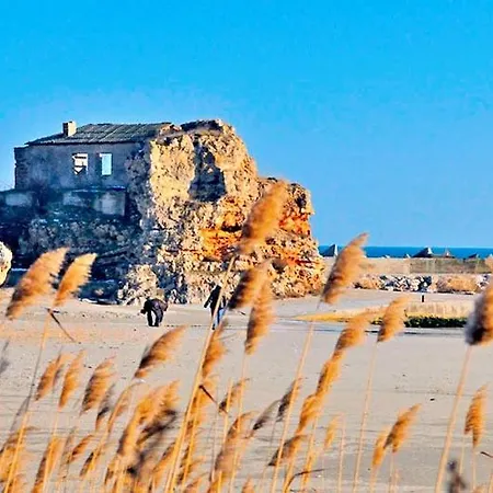 роза - Rosa 펜션 Bŭlgarevo