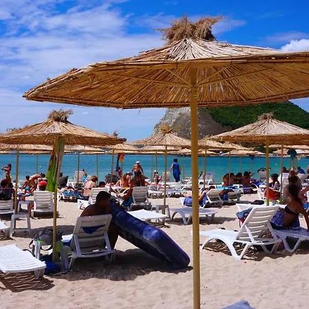 роза - Rosa 펜션 *