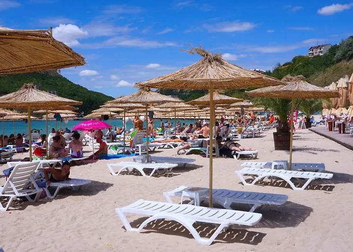 роза - Rosa Bŭlgarevo