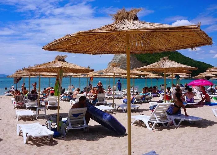 роза - Rosa 別荘 *