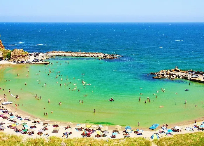 роза - Rosa * Булгарево