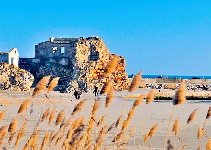 роза - Rosa Ваканционна къща Булгарево