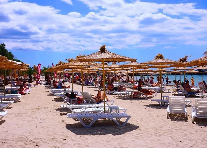 роза - Rosa Булгарево